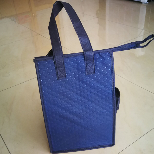 cooler bag