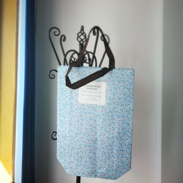 one-sided lamination non woven bag