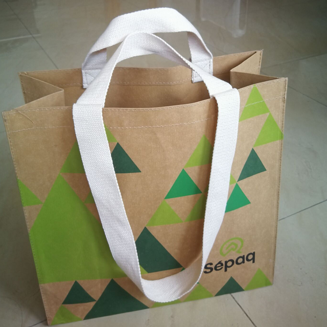 double handle kraft bag 